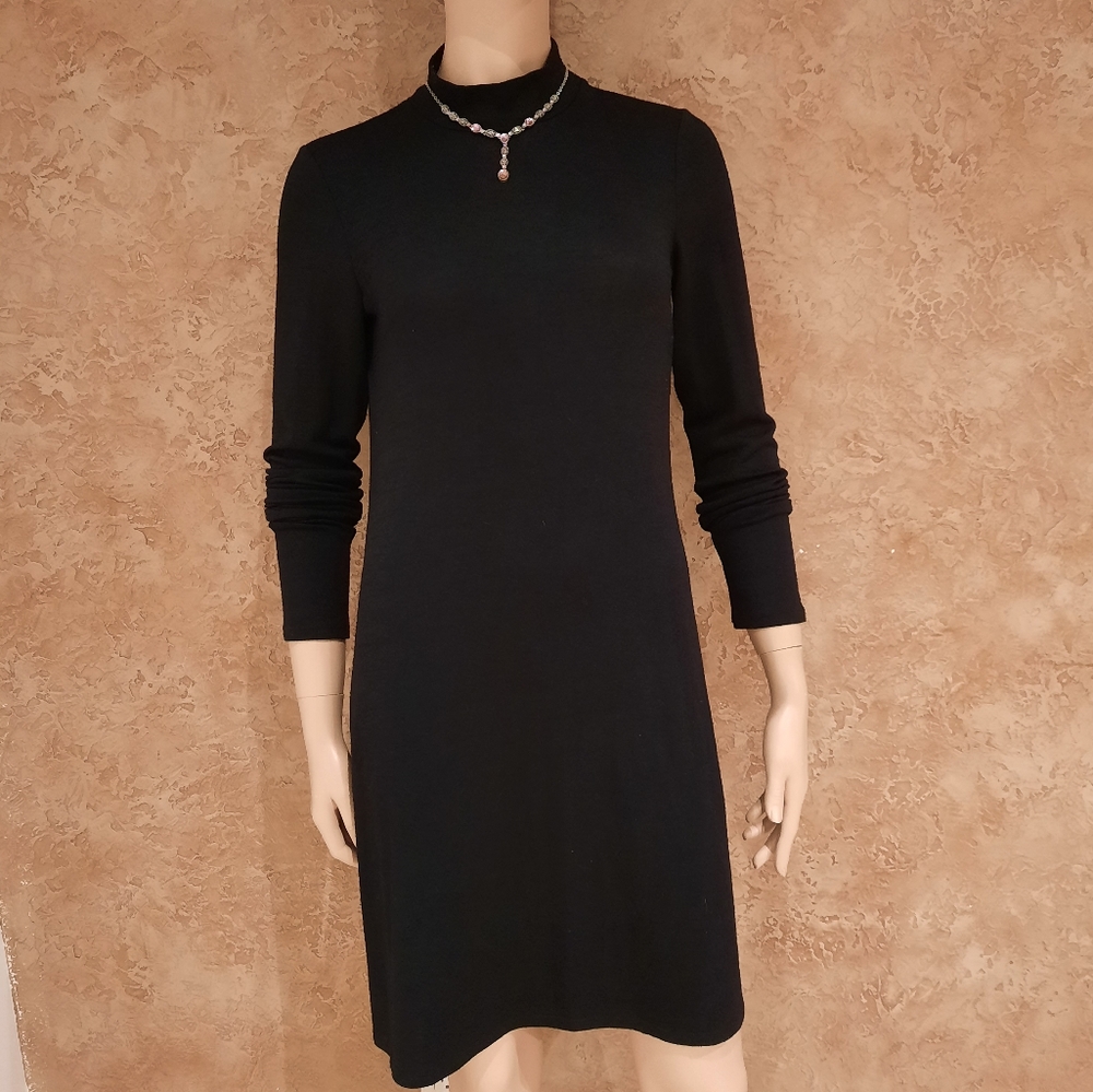 Wilfred free Aritzia woman dress size M